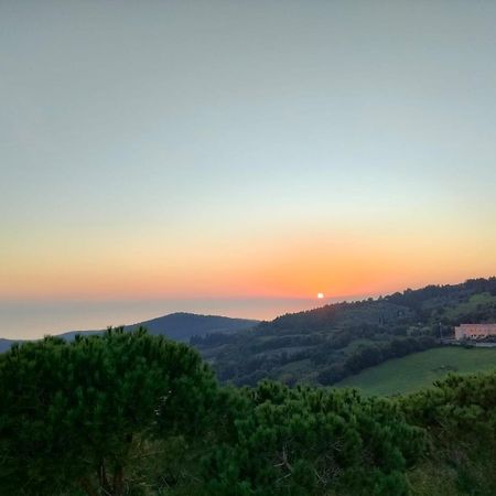 Vista sulle isole dell'arcipelago Toscano Nibbiaia Camera foto